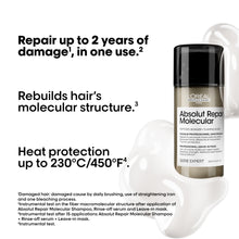 Load image into Gallery viewer, Absolut Repair Molecular Masque (100 ml)
