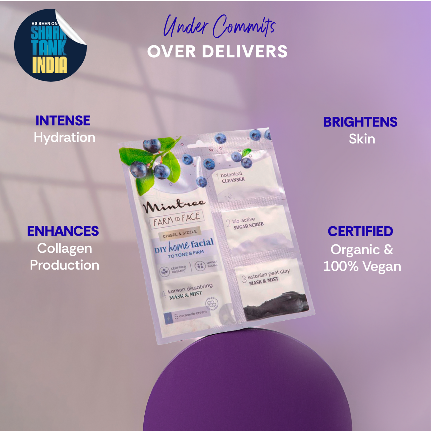 mintree blueberry diy facial kit