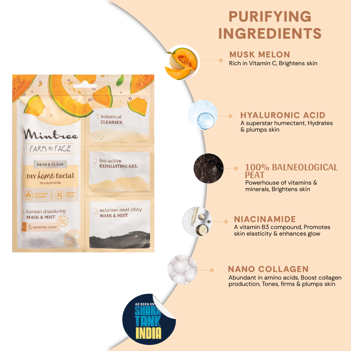 mintree muskmelon diy facial kit