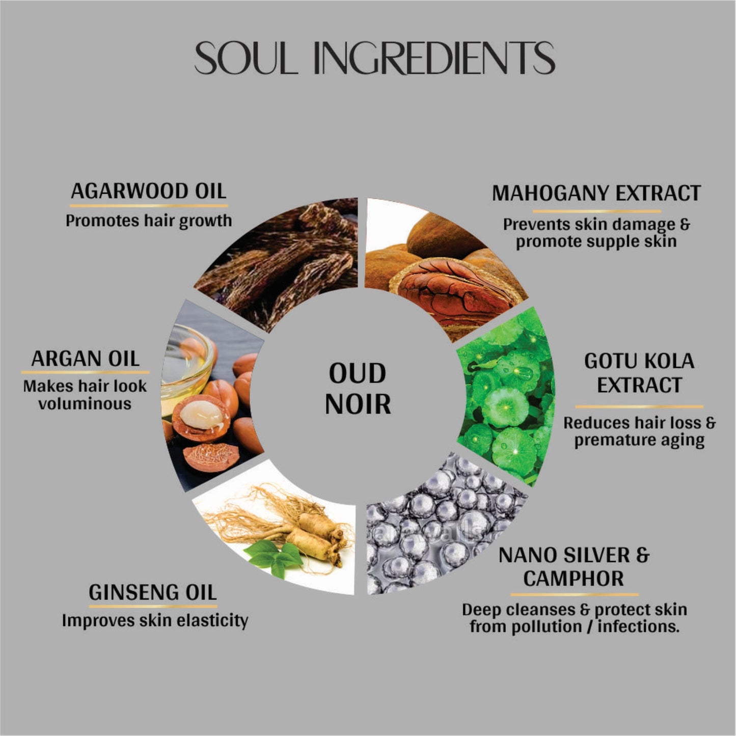 vedic valley oud noir hair & body wash